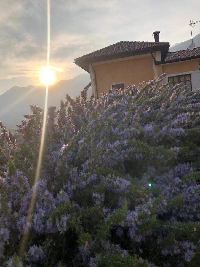 La Villa Degli Orti Borgo Valsugana Bagian luar foto