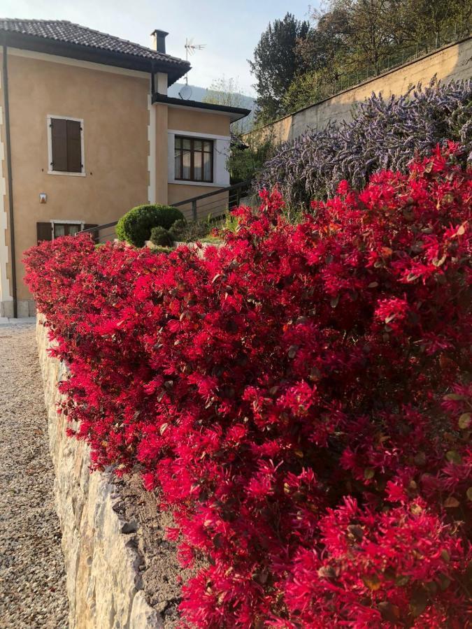 La Villa Degli Orti Borgo Valsugana Bagian luar foto